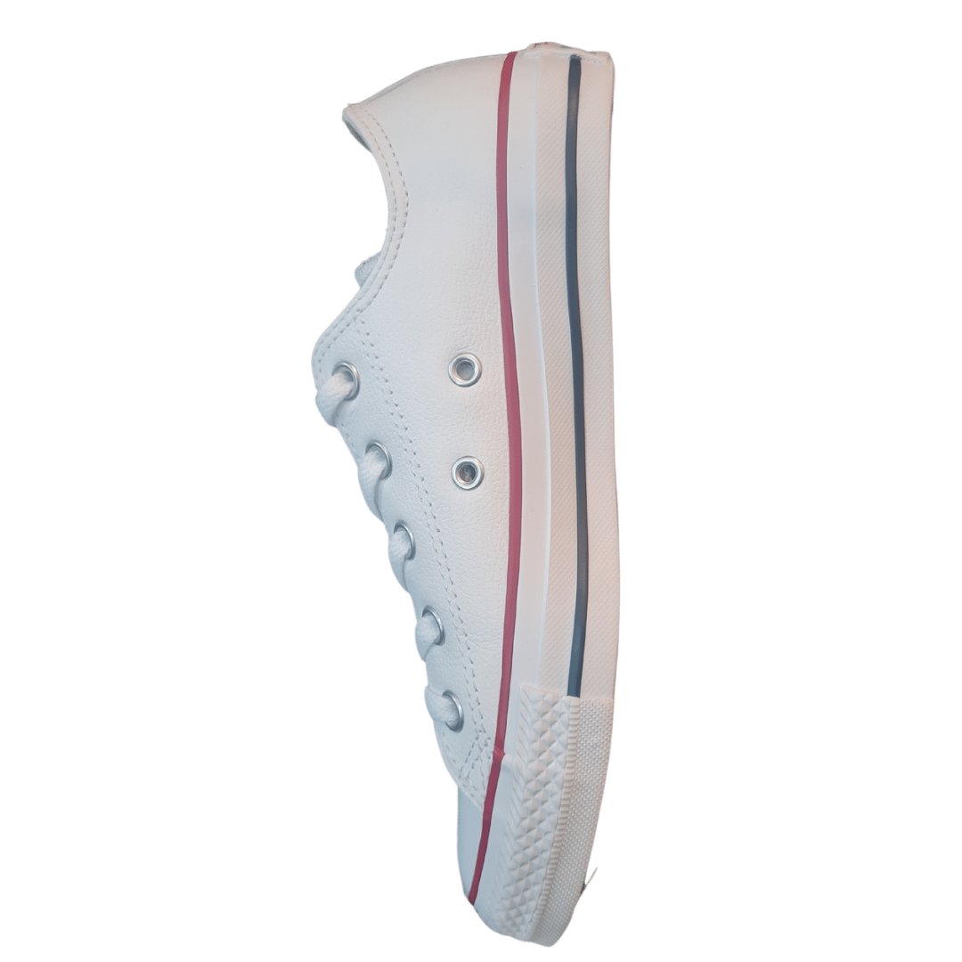 Converse Chuck Taylor low tops
(White)